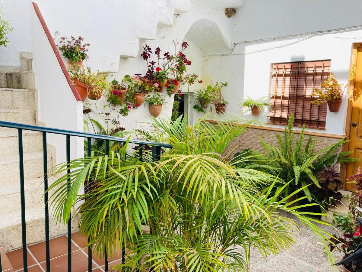 Apartamento Conil Centro Conil De La Frontera Exterior photo
